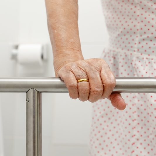 Bathroom Support For Elderly